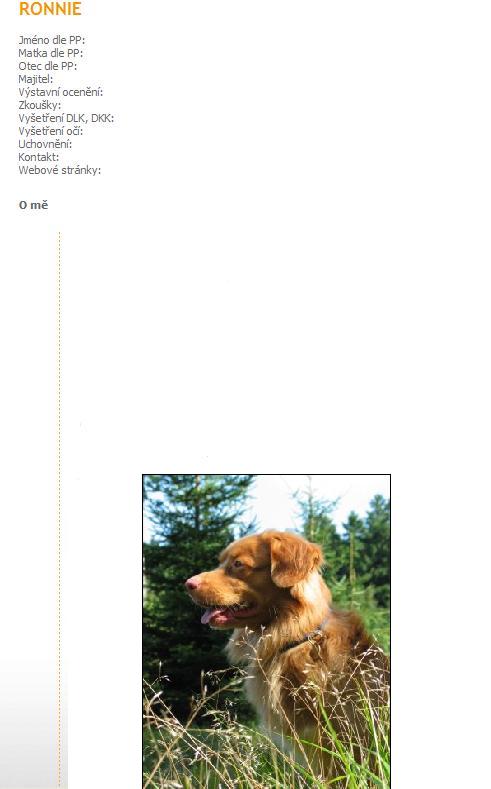 �ablona profilu - Nova Scotia duck tolling retriever